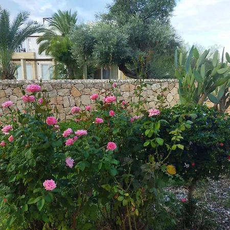 Tatil Evi Turtle Bay Village - Garden House