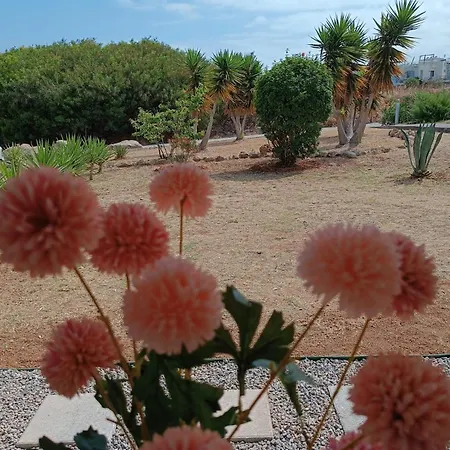 Turtle Bay Village - Garden House Сasa de vacaciones Kyrenia (Northern Cyprus)